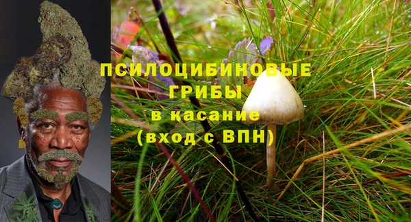 COCAINE Бородино
