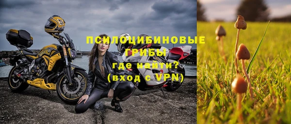 гашик Верхний Тагил