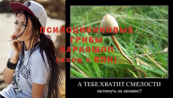 гашик Верхний Тагил
