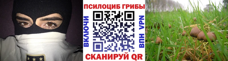 цена   Междуреченск  Псилоцибиновые грибы прущие грибы 